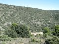 Vegetacin de la solana desde la cava Simarro