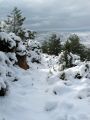 El sendero estaba cubierto por una espesa capa de nieve