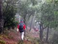 Emilio siguiendo el sendero entre alcornoques y pinos