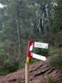 Giro a la derecha  y seguir la bajada del barranco de Castro