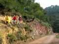 La senda enlaza con una pista forestal