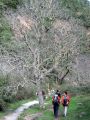 Seguimos el barranco para llegar a An