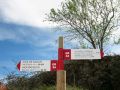 Carteles en Torralba del Pinar