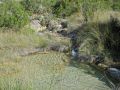 Una pequea poza de agua cristalina