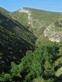 La humedad del barranco es patente