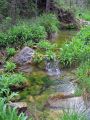 Agua cristalina bajo la lluvia