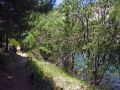 Senda que recorre la orilla del embalse