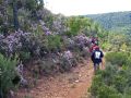 La senda botnica con el brezo en flor