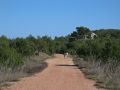 LLegando al mirador de Rebalsadors