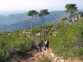 Senda de bajada desde el mirador