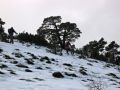 La nieve esta dura