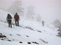 La niebla se abate sobre nosotros