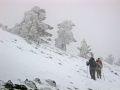 Ya casi estamos en la cima