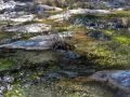 Y otras veces el agua circula por encima de grandes losas