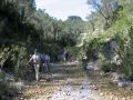 Caminando sobre las aguas