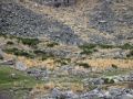 El sendero pasa por donde estn las cabras