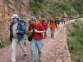 Caminando por la pista forestal