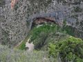 Barranco de la Maimona