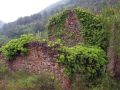 La vegetacin ha invadido los muros de las casas