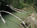 Unos troncos atraviesan el ro que recibe las aguas de un pequeo barranco